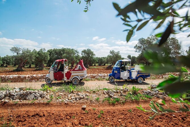Private Tuk Tuk Tour of the Millenary Olive Groves in Ostuni - Key points to know before you book