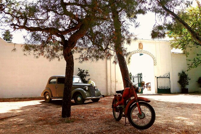 Private Tuk Tuk Tour of the Millenary Olive Groves in Ostuni - A gentle ride from Ostuni into Puglia’s olive country