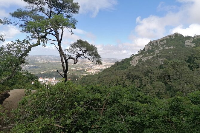 Private Tuk Tuk Tour through Serra de Sintra - Casa Biester and a cinematic viewpoint