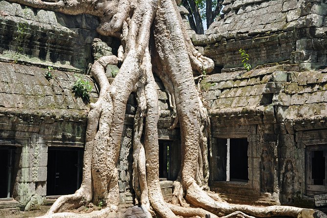 Private Tuk Tuk Tour to Angkor Wat and Small Circle with Two Extras - Why the private tuk tuk format works