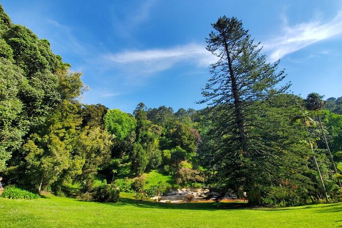Private Tuktuk Sintra Tour: Palaces & Coast - Should you book this Sintra tuk-tuk tour?