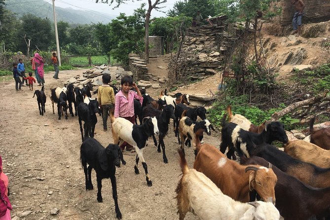 Private Udaipur Village Tour by Tuk-Tuk or by Car - Lake Badi, a famine-era water project