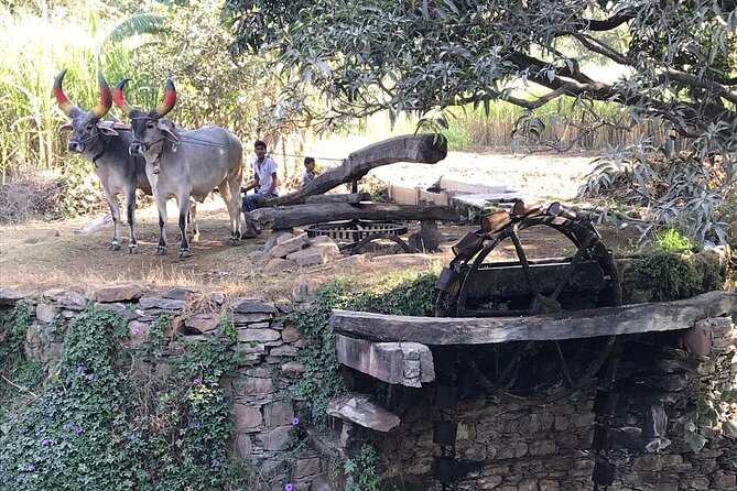 Private Udaipur Village Tour by Tuk-Tuk or by Car - What the $17.02 price really gives you