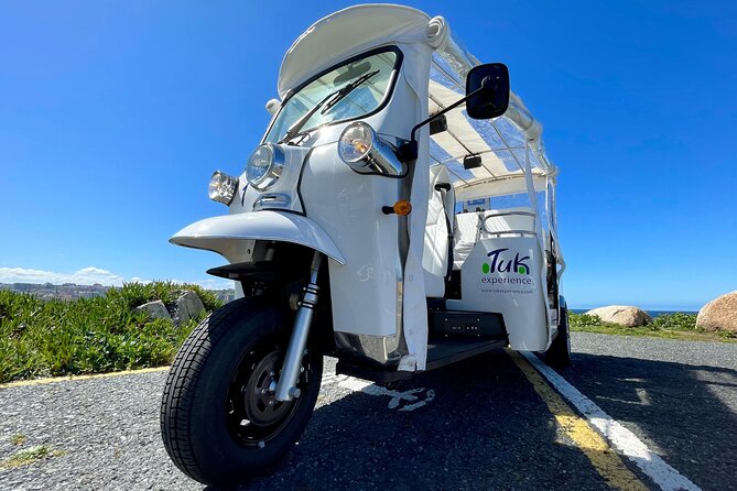 Private VIP Tour in Tuk Tuk Cadiz - Puerta de Tierra and Cádiz beyond the walls