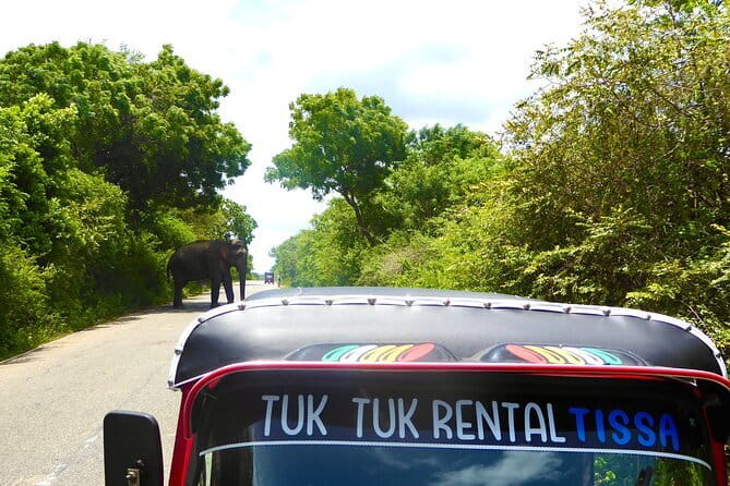 Rent a Tuk Tuk & Explore - The driving lesson is the part you should value most