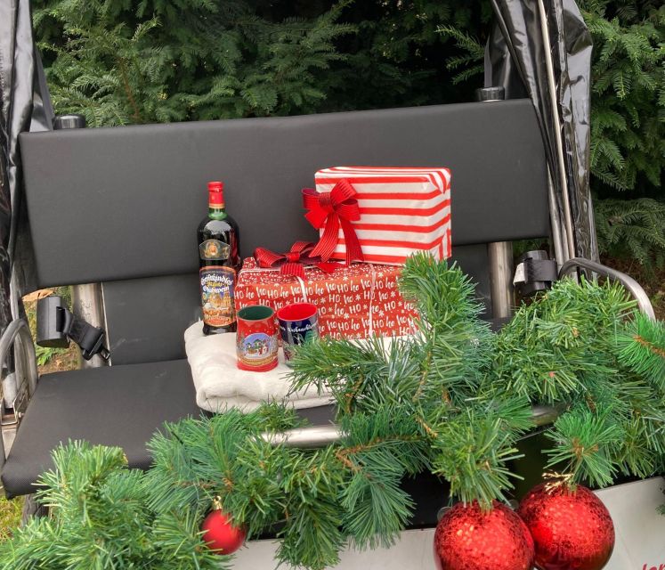 Rickshaw Glühwein Ride - Cologne Cathedral, the city’s essential first look