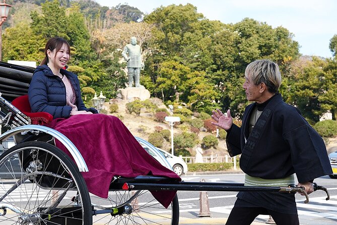 Rickshaw Tour of Kagoshima's Historical and Cultural Sites - Tsurumaru Castle offers stone walls instead of a restored palace