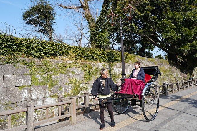 Rickshaw Tour of Kagoshima's Historical and Cultural Sites - Saigo Takamori’s statue brings the story to a famous figure