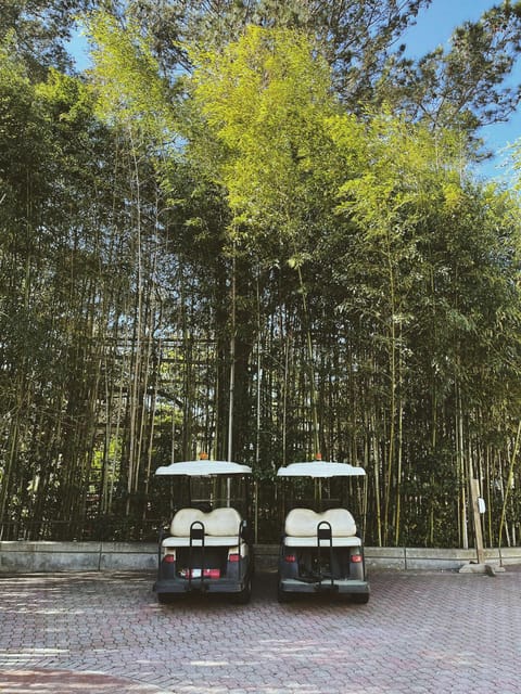Rome City Sightseeing by Golf Cart Or Tuk Tuk (Private) - Via dei Fori Imperiali and the Colosseum