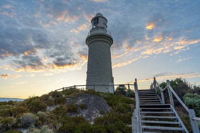 Rottnest Island 90-minute E-Rickshaw Adventure with Tour Guide - Oliver Hill Battery and World War II History