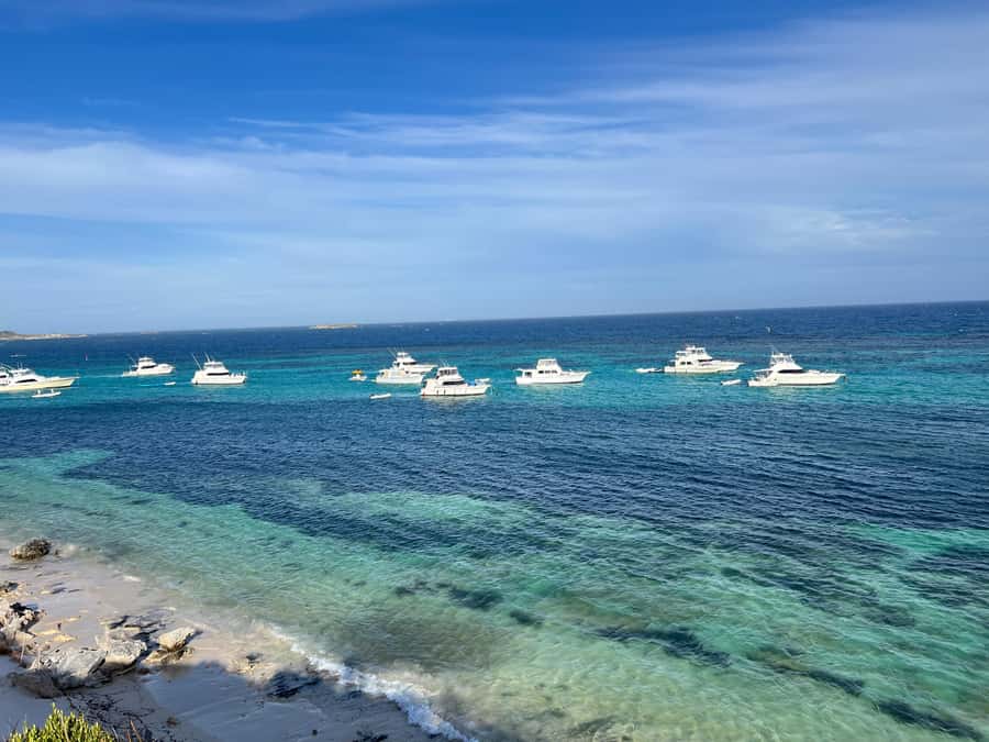 Rottnest Island - E-Rickshaw Tour with private guide - Quokkas, seabirds, and quick wildlife moments