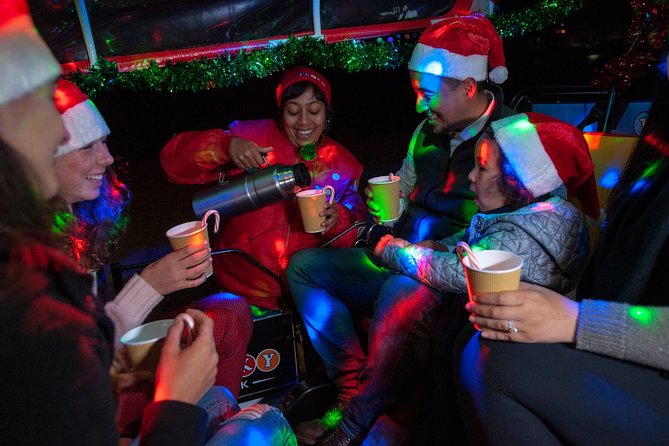 San Francisco Holiday Season Private Tour - Lucky Tuk Tuk - Key points to know before booking