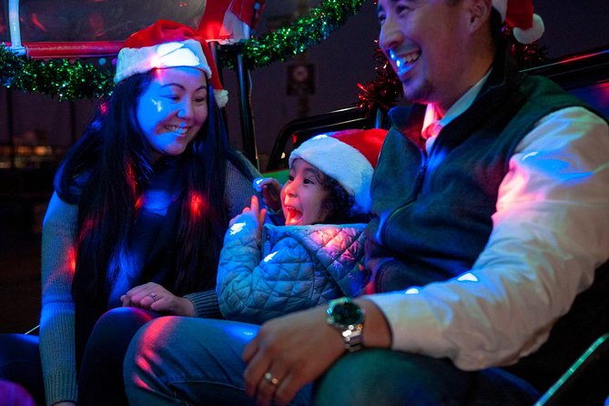 San Francisco Holiday Season Private Tour - Lucky Tuk Tuk - What the tour does not include