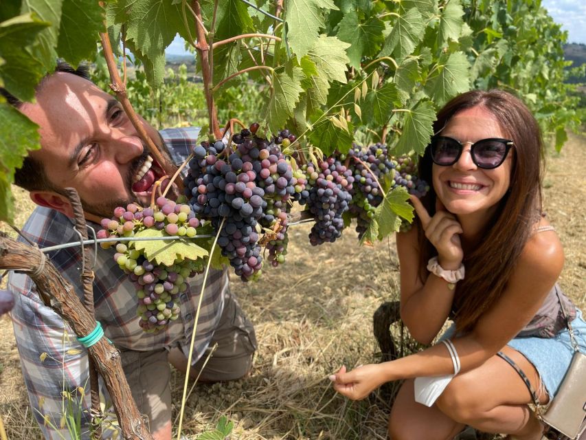 San Gimignano: Chianti Hills Tuk-Tuk Tour for 2 - Who should book this ride