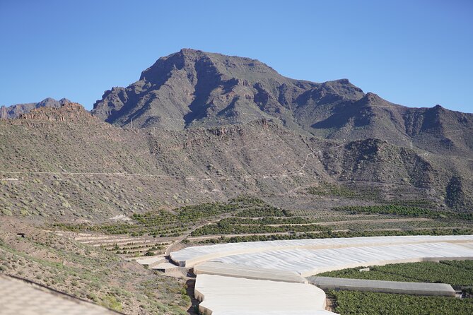 Secret Volcano Tour by Tuk Tuk in Costa Adeje - Drinks and the final views