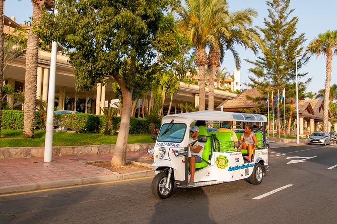 Secret Volcano Tour by Tuk Tuk in Costa Adeje - Who will enjoy this tuk-tuk tour?