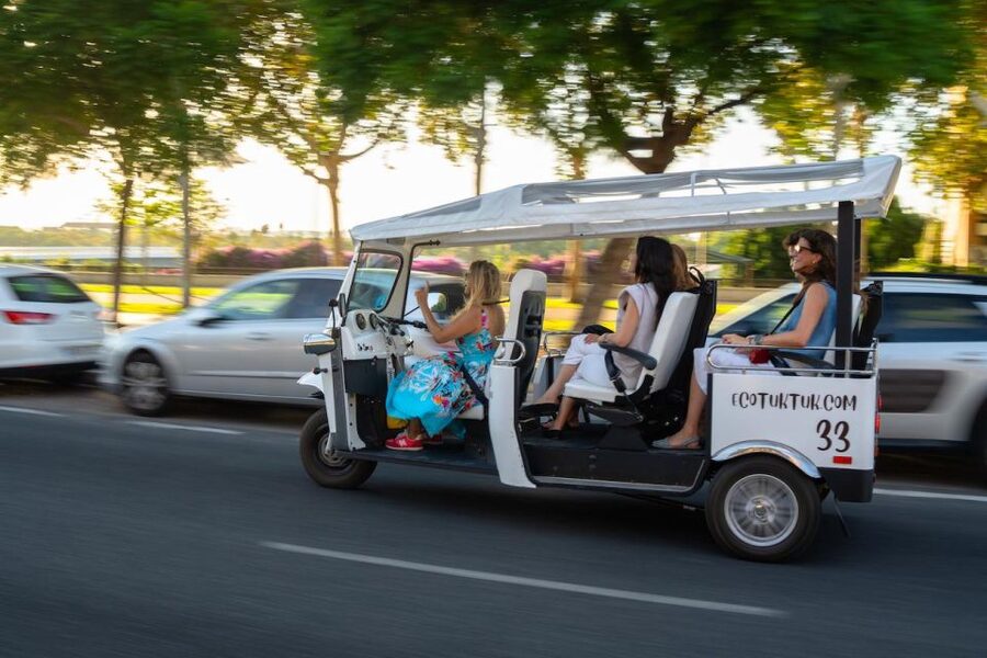 Seville: Private City Tour by Eco Tuk Tuk - Puente de Isabel II and the Triana view