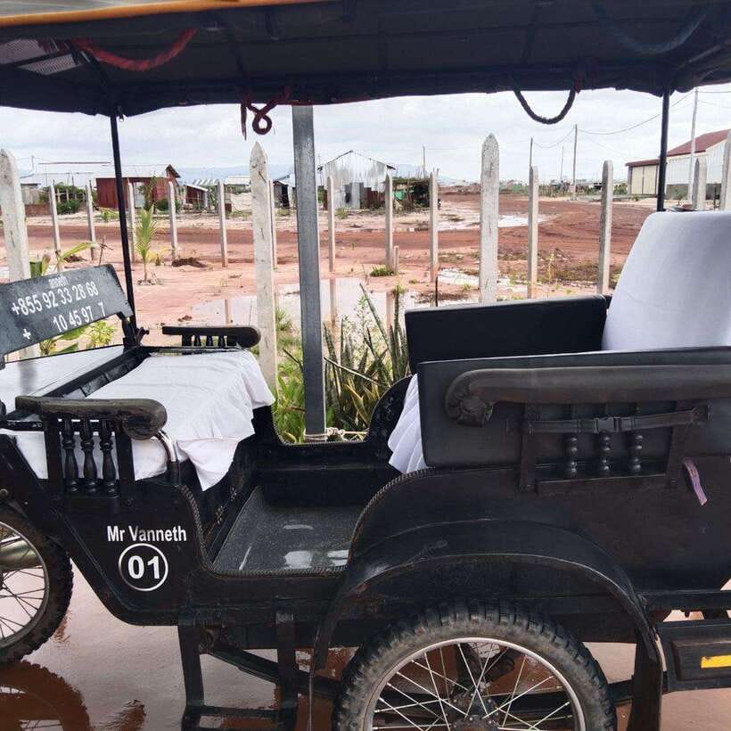 Siem Reap: Angkor Temples Tour by a Private Tuk Tuk - Ta Prohm, roots, and the Tomb Raider effect