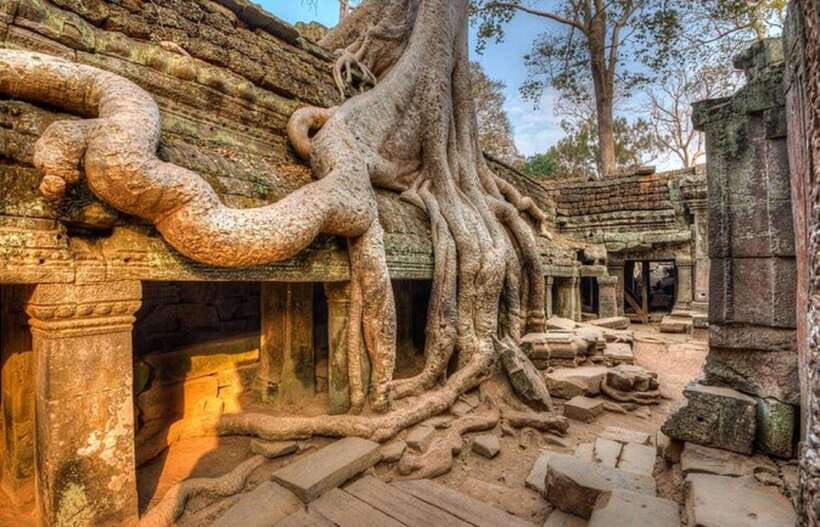 Siem Reap: Full-Day Tuk-Tuk Tour of Angkor Wat Temples - Ta Prohm is the emotional high point