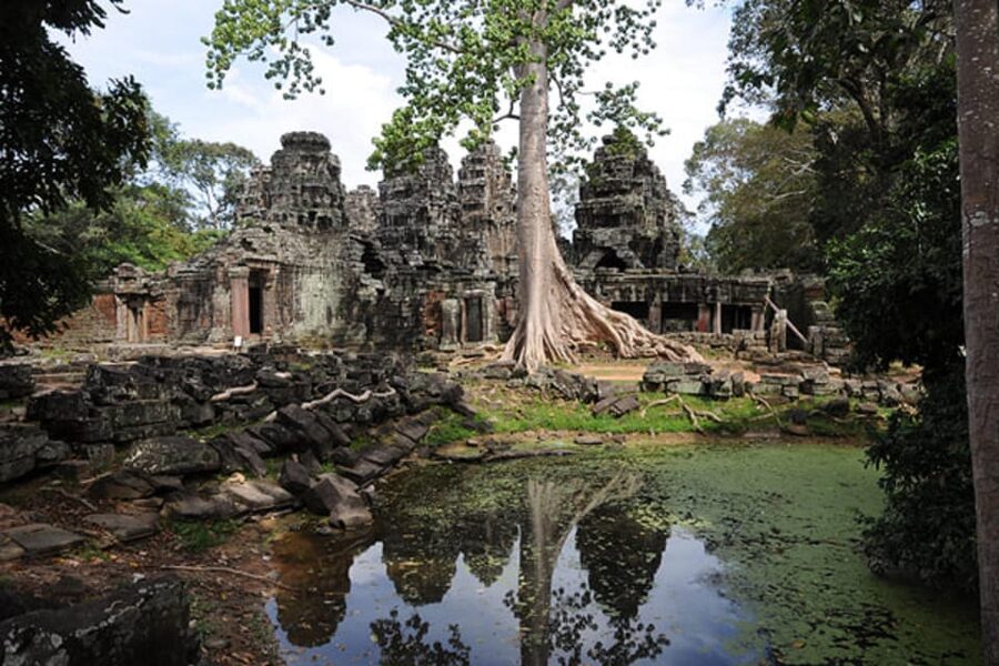 Siem Reap: Full-Day Tuk-Tuk Tour of Angkor Wat Temples - What the $44 price really covers