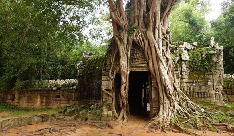 Siem Reap: Grand Circle Temples Tour With Private Tuk-Tuk - The sunrise version starts before dawn