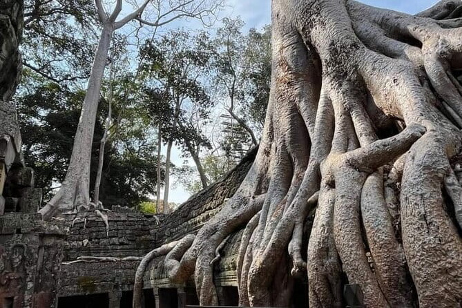 Siem Reap Temple Tuktuk Tour: Explore Angkor Wat and beyond. - Bayon: smiling stone faces in the center of Angkor Thom