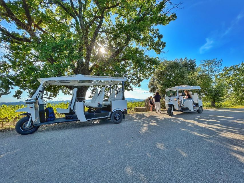 Siena: Tuk Tuk Tour with Wine Tasting - Why the Tuk-Tuk Works So Well Around Siena