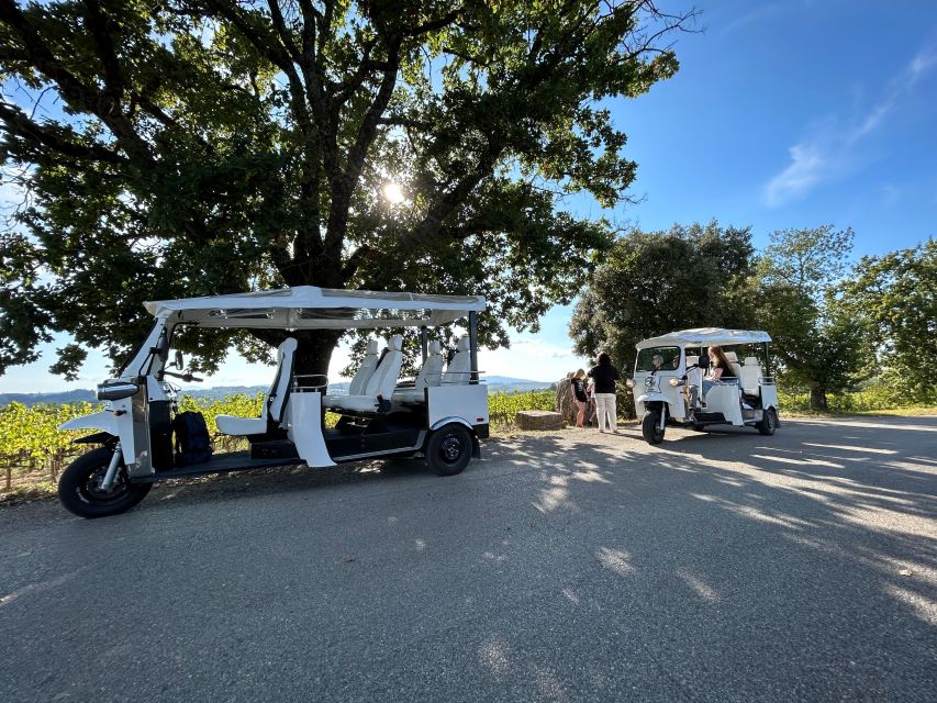 Siena: Tuk Tuk Tour with Wine Tasting - What the Chianti Classico Label Adds