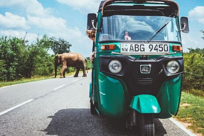 Sigiriya and Dambulla Private Day Tour by Tuk-Tuk or Car - Climbing Sigiriya Rock Fortress