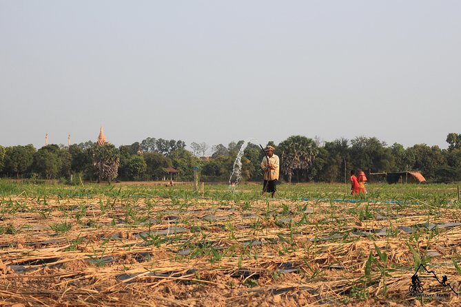 Silk Island & countryside of Phnom Penh by Tuk Tuk - Why Silk Island makes a good escape from Phnom Penh