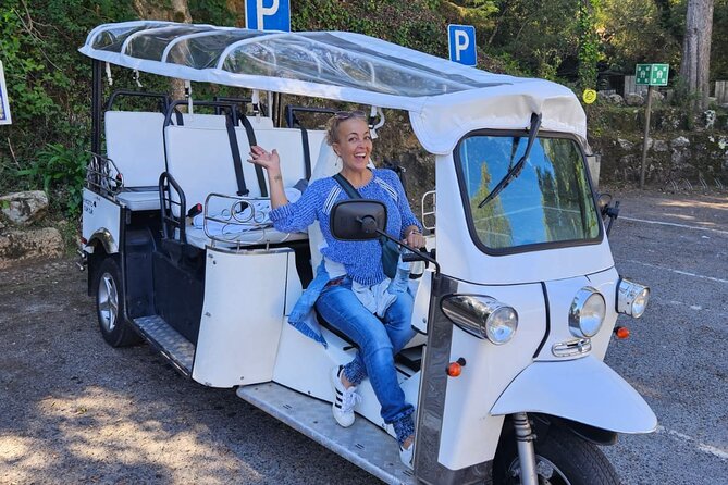 Sintra Electric Tuk Tuk Tour with Local Expert Guides 2h30 - A high view of Sintra National Palace