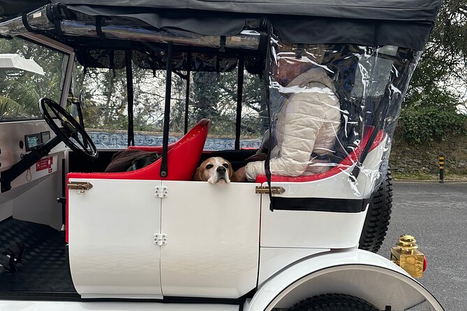Sintra Tour by Electric Tuk Tuk - The value of $77.89 per person