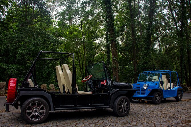 Sintra Tuk Tuk (Electric) 4-5 hours tour - Two hours at Pena Palace and Park