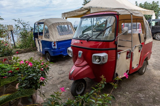 Sorrento Farm by Tuk Tuk: Cheese, Limoncello & Hands-On Pizza - The people make the meal memorable