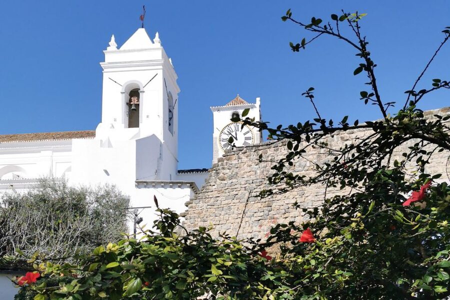 Tavira Total Tuk Tuk Tour: Tavira Tour & Tuna Museum Visit - Practical advice before you book