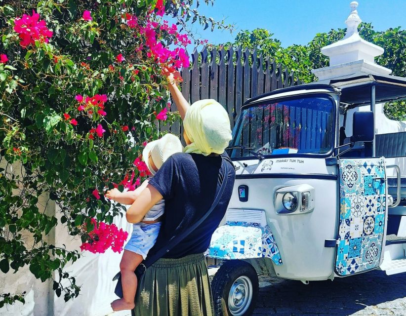 Tavira: Tuk-Tuk City Tour - Key points to know before you book