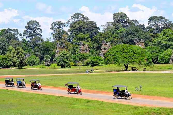 The Angkor Temples from Sunrise by Tuk Tuk - Ta Prohm, where trees share the ruins