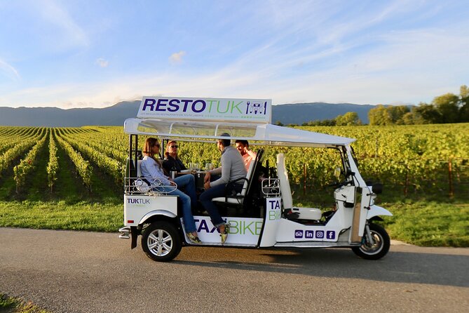 The Private Tuk Tuk Tour with one of The Best Fondues in Geneva! - Lake Geneva, the Rhône, and the choice of two areas
