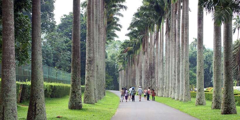 Three Temples Loop In Kandy Day Tour By Tuk Tuk - Why This Kandy Tuk Tuk Tour Works