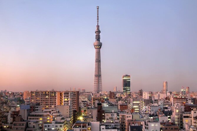 Tokyo Asakusa Rickshaw Tour - Key things to know before you book