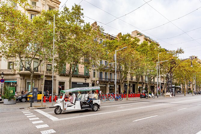 Tour Welcome Barcelona with Local Guide in Eco Tuk Tuk Private - Montjuïc, the harbor, and Barcelona’s big views