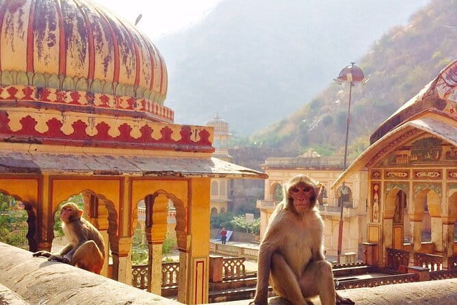 Travel Through the Streets of Jaipur by Tuktuk with a Local - Amber Fort: the strongest historical stop