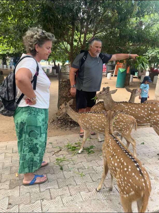 Trincomalee: Tuk-Tuk city tour with a guide - Why a tuk-tuk works well in Trincomalee