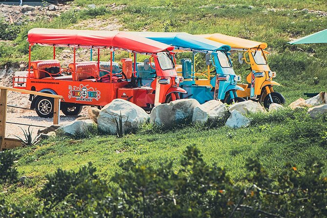 Tuk-Tuk Adventures Rainforest and Beach Hopping Tour - Local fruit, vendors, and a taste of daily Antigua