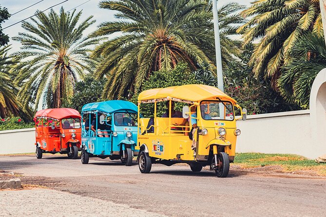 Tuk-Tuk Adventures Rainforest and Beach Hopping Tour - Fig Tree Drive brings the green interior into view