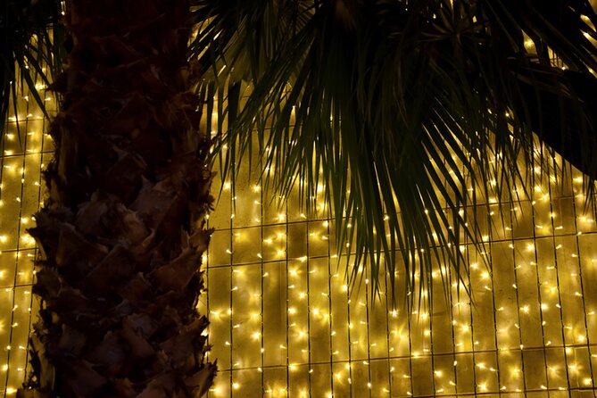 Tuk Tuk Funchal Magic Christmas Lights - What the $108.84 price really gives you