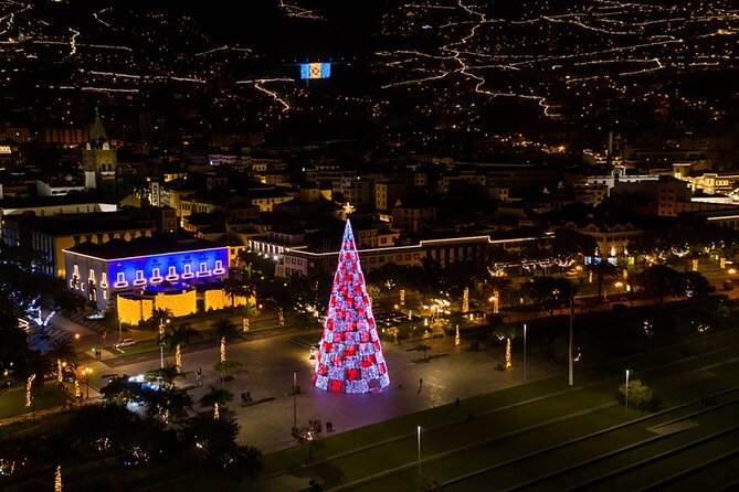 Tuk Tuk Funchal Magic Christmas Lights - The driver can shape the whole evening
