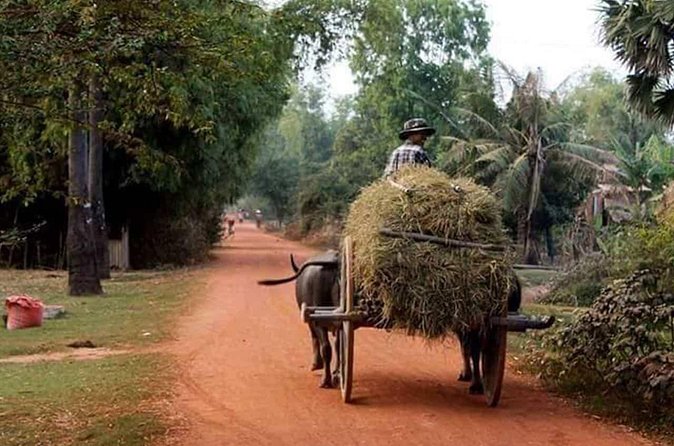 Tuk Tuk Journey: Exploring Rural Life and Silk Farm Craftsmanship - The pace, vehicle, and private format