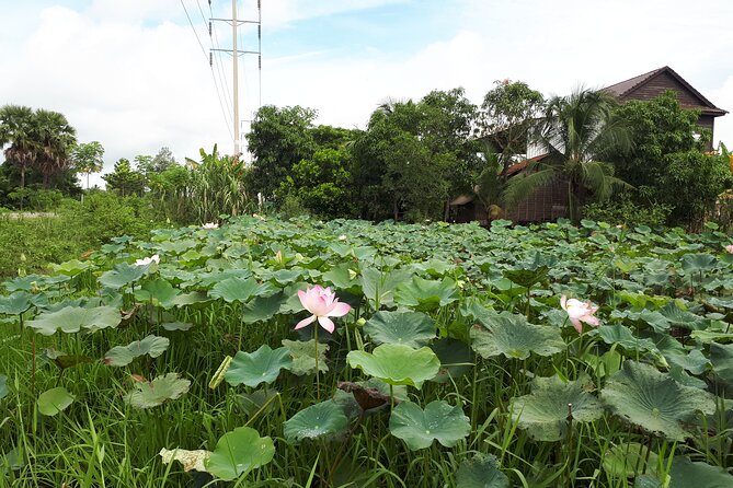 Tuk Tuk Journey: Exploring Rural Life and Silk Farm Craftsmanship - Who should book this Siem Reap tour?