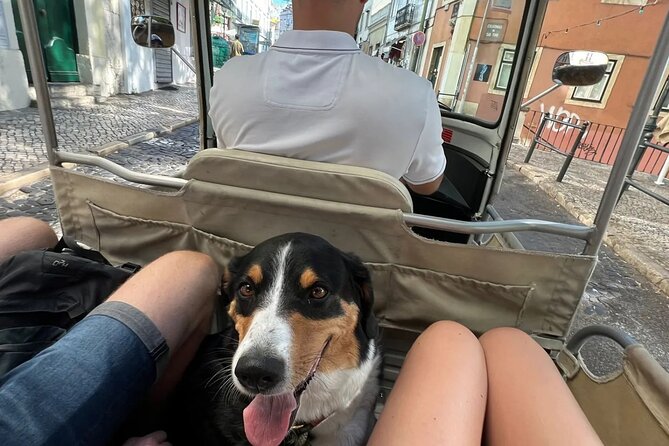 Tuk-Tuk Lisbon Tour 1 - 3hours - Lisbon’s best hilltop views at Senhora do Monte